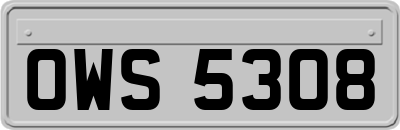 OWS5308
