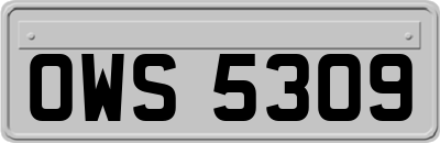 OWS5309