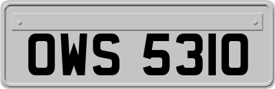 OWS5310