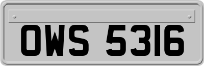 OWS5316