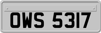 OWS5317