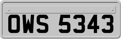 OWS5343