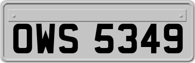 OWS5349