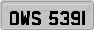 OWS5391
