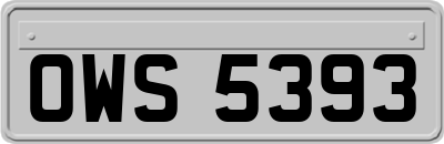 OWS5393