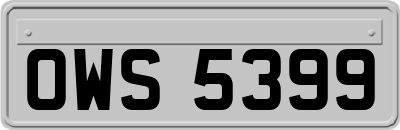 OWS5399