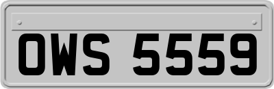 OWS5559