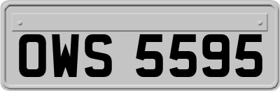 OWS5595