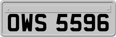 OWS5596
