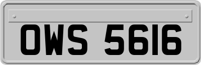 OWS5616