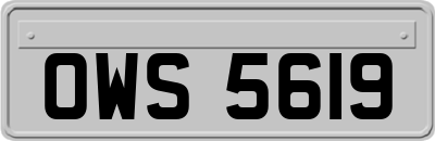 OWS5619