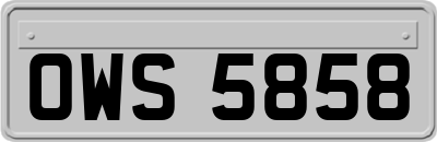 OWS5858