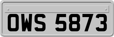 OWS5873