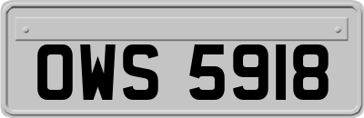 OWS5918