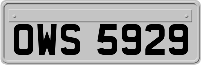 OWS5929