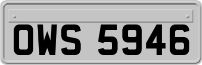 OWS5946