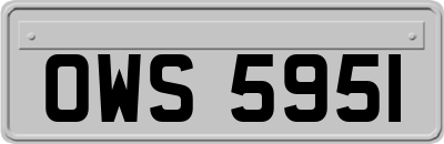 OWS5951
