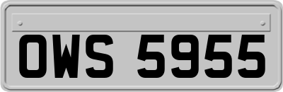 OWS5955