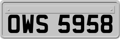 OWS5958
