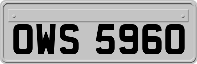 OWS5960
