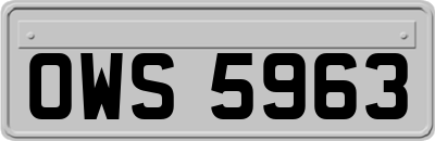OWS5963