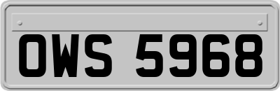OWS5968