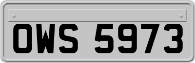 OWS5973