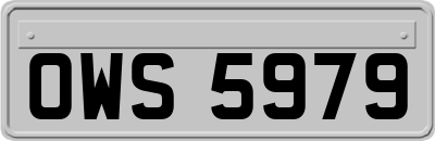 OWS5979