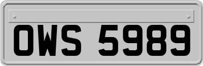 OWS5989