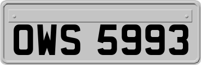 OWS5993