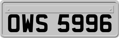OWS5996