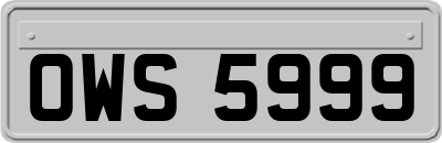 OWS5999