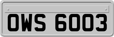 OWS6003