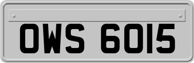 OWS6015