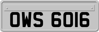 OWS6016