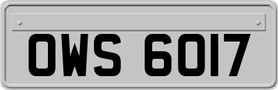 OWS6017