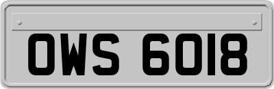 OWS6018