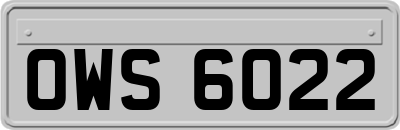 OWS6022