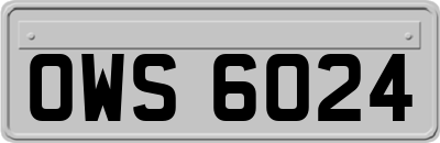 OWS6024