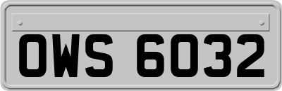 OWS6032