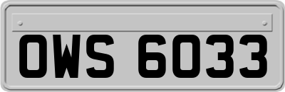 OWS6033