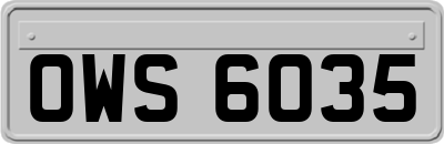 OWS6035