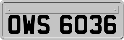 OWS6036