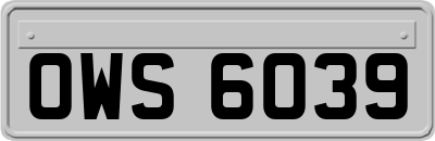 OWS6039