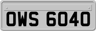 OWS6040