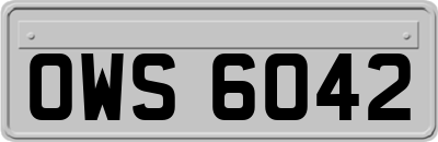 OWS6042