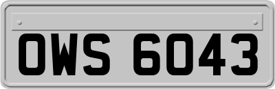 OWS6043