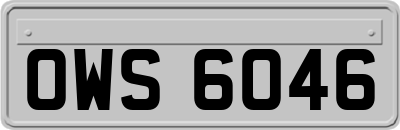 OWS6046