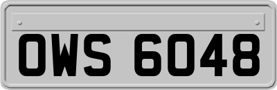 OWS6048