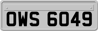 OWS6049